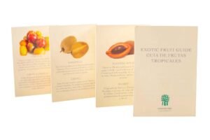 impresión de menús y trípticos informativos